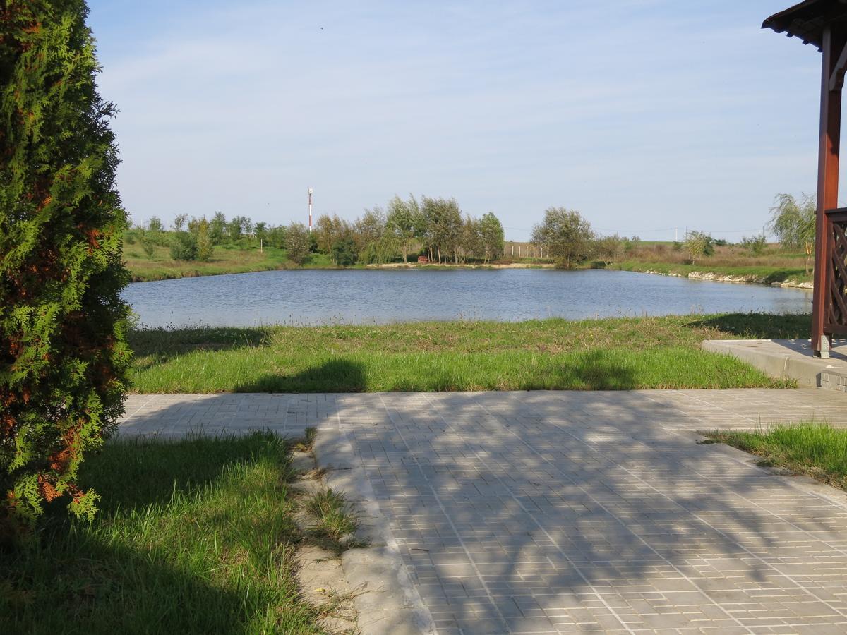 Conacul De Pe Lac Sagu Екстер'єр фото